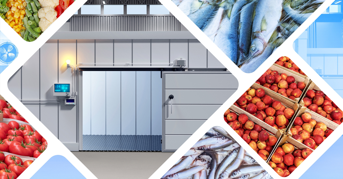 Lắp Đặt Kho Lạnh Tại Thái Nguyên : Uy Tín,Gọi Là Có ? 1 Dịch Vụ Lắp Đặt Kho Lạnh Tại Thái Nguyên