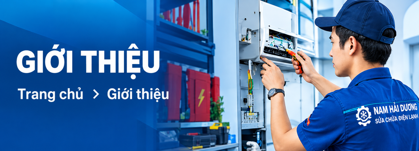 giới thiệu điện lạnh hải nam